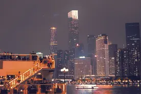 材料用典：若网在纲，有条而不紊图片