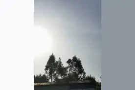 学生党最毁眼睛的东西，手机不算什么，这3物今后要远离图片