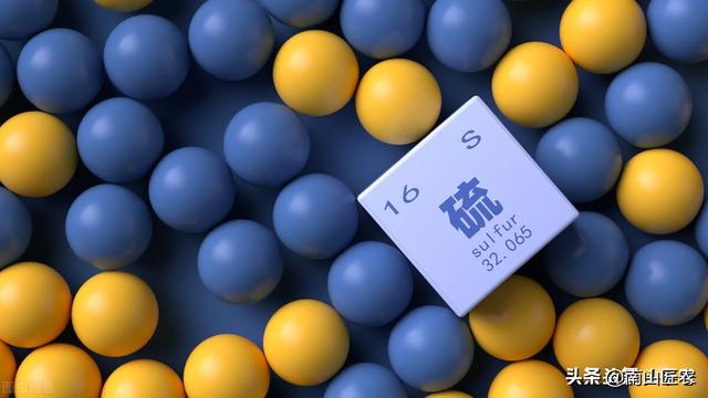 常见的氨基酸有十几种，在植物中的用法你知道吗？