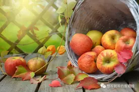 世界粮农组织（FAO）推荐的五大健康水果—第一名：苹果图片