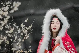 故事：她从宫女晋升妃嫔，被皇上冷落多年，立储时才知他良苦用心图片