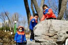 孩子刷牙难难难难，方法都在这几本绘本里图片