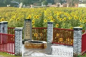 你知道被誉为“红色故都”的瑞金吗？图片