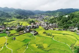 中国农民的出路在哪里？图片