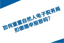 报税密码忘记了怎么办？权威解答图片
