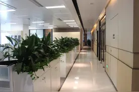 我发现了老板的一个秘密——办公室里的暗门（2）图片