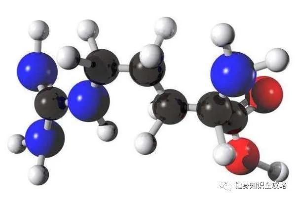 90%的健身人群不知道蛋白质组成的秘密