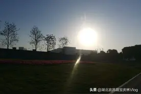 新笑话出炉啦图片