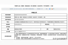 2021年，鹤洲CBD正式起步！何以担起珠海中心大任？图片