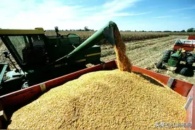 全球可能发生粮食危机，我国粮食储备充足，有4件事也得尽快落实图片