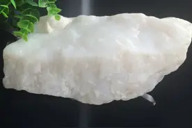 野牛沟料：青海料里的传奇图片
