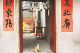 东江菜式+文化街区+苗家祖屋 三百余年老宅成新网红图片