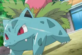 你不知道的 妙蛙草 进化后就再也无法用双腿站立图片