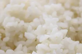 面条和米饭，在营养上有什么区别？长期吃，哪个对身体更好？图片