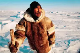 爱斯基摩人名菜腌海雀，鳐鱼片的“臭”和它比差远了图片
