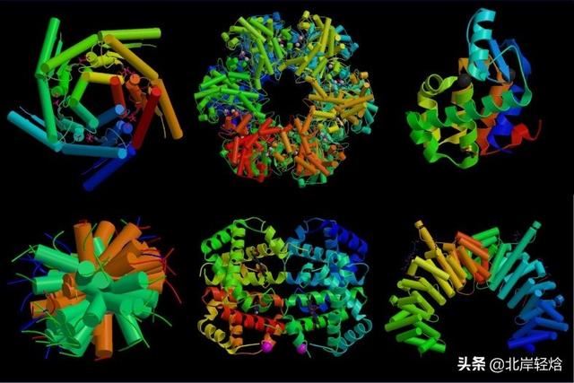 核糖体：揭开生物体内合成蛋白质的奥秘 2009年诺贝尔化学奖介绍