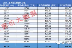 汉街万达4.4万！关山保利3.2万！金融港万科2.7万！区域标杆发力图片