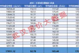 汉街万达4.4万！关山保利3.2万！金融港万科2.7万！区域标杆发力图片
