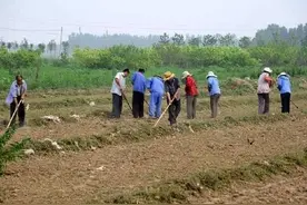 农村俗语：“男怕五月，女怕腊月”，有什么道理吗？图片