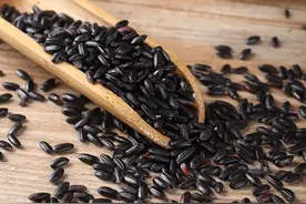 黑米怎样开发应用图片