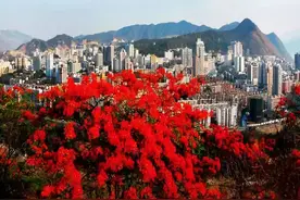 《兔子暴力》的取景地——四川攀枝花图片