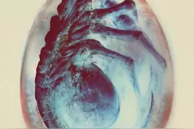 直接上图，铁血战士与异形（四）图片