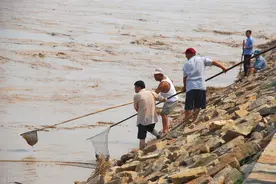 小浪底的隐忧：20年的北方“鱼库”，调水调沙导致“黄河病”？图片
