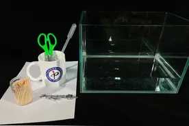 有了这朵花，还怕双十一独自过吗？| 正经玩图片