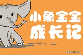 北移偶“象”团｜小象宝宝成长记图片