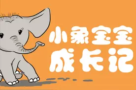 北移偶“象”团｜小象宝宝成长记图片