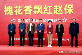 盛大开幕！宜阳县赵保镇第六届槐花节来了图片