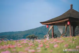 当汉服遇上美景，无锡这些仙境必须打卡图片