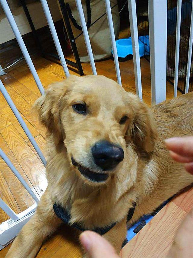 ҥëġůС𣿲ֻǶѺ