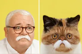 16个与猫「撞脸」的奇妙组合：比与狗撞脸更爆笑？图片