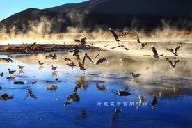 玻利维亚只看天空之镜？七彩湖火烈鸟4层楼高的仙人掌更精彩图片