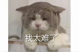 连腾讯都救不了？Steam大逃杀新作，上线才两周又被外挂淹没了？图片