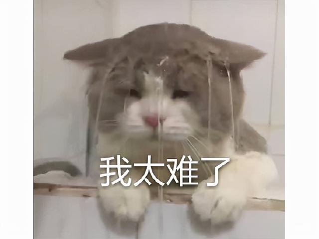 连腾讯都救不了？Steam大逃杀新作，上线才两周又被外挂淹没了？