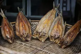 《隐秘而伟大》《红色》鱼的梗，上海背景谍战剧为何喜欢拿鱼说事图片