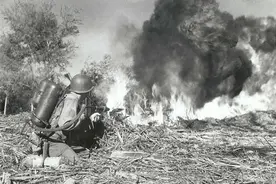 二战中日军无比恐惧的火焰喷射器，现代战争中为何越来越罕见了？图片