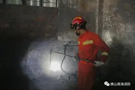 警惕！6月进入毒蛇出没高发季，南海人夏天少去这些地方！图片