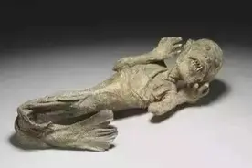 欧美6大人为拼接的奇异生物标本，至今仍被博物馆收藏图片