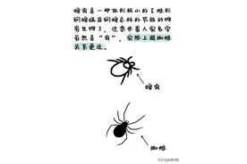 【健康教育】夏天的草丛，隐形的杀手图片