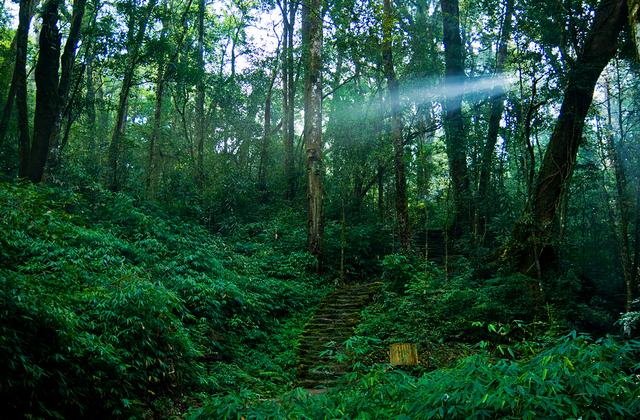 红河州13县市人口一览:个旧市45万,红河县35万