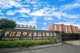 两款爆品打天下，一年营收近十亿：华文食品，区县经济的发展样板图片