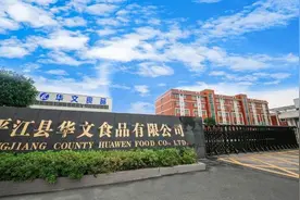 两款爆品打天下，一年营收近十亿：华文食品，区县经济的发展样板图片