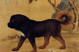 给爱犬穿官服、发俸禄、封爵位，盘点古人撸狗的奇葩事图片