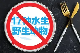 扩大范围，17种水生野生动物列入禁食名单！北京版野保条例出台！图片