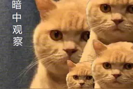 女子睡觉醒来感觉很累，一看监控发现自己被打了4个小时……图片