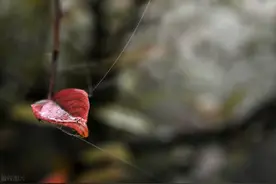 男人有个交往多年的红颜知己，是什么感受？三个男人说出来心底话图片