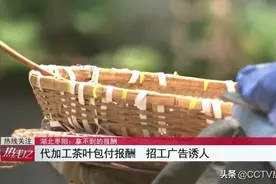 在家代工包装茶能月入过万？男子拖家带口干了一星期，仅收到100余元图片